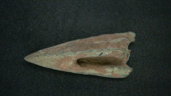 Genuine Roman Arrowhead In Riker For Sale #25