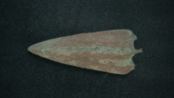 Genuine Roman Arrowhead In Riker For Sale #25a