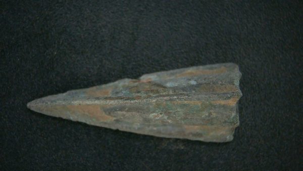 Genuine Roman Arrowhead In Riker For Sale #26