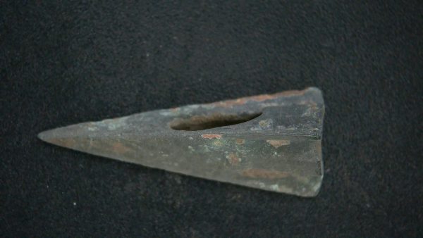 Genuine Roman Arrowhead In Riker For Sale #30