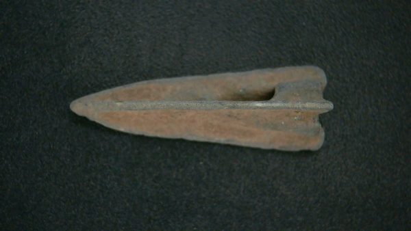 Genuine Roman Arrowhead In Riker For Sale #32