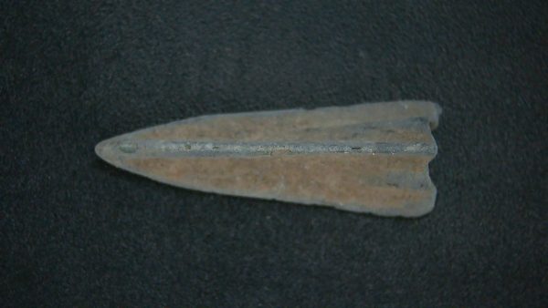 Genuine Roman Arrowhead In Riker For Sale #32b