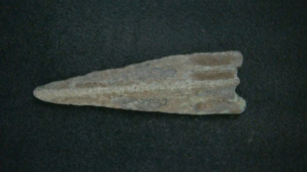 Genuine Roman Arrowhead In Riker For Sale #33a