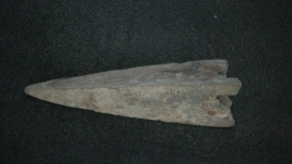 Genuine Roman Arrowhead In Riker For Sale #34