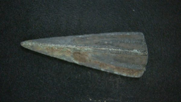 Genuine Roman Arrowhead In Riker For Sale #35b