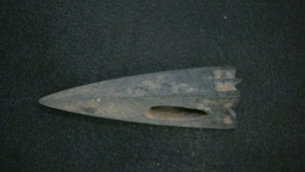 Genuine Roman Arrowhead In Riker For Sale #36