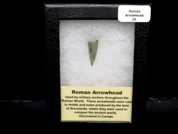 Genuine Roman Arrowhead In Riker For Sale #25