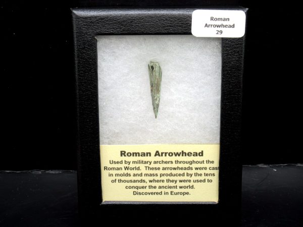 Genuine Roman Arrowhead In Riker For Sale #29