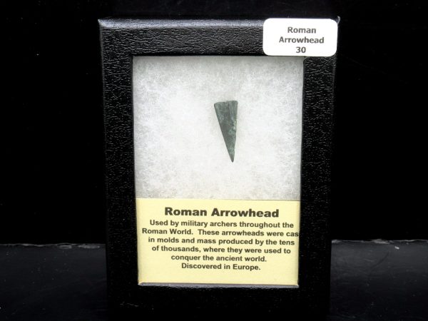 Genuine Roman Arrowhead In Riker For Sale #30