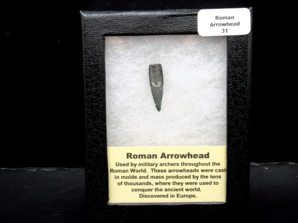 Genuine Roman Arrowhead In Riker For Sale #31