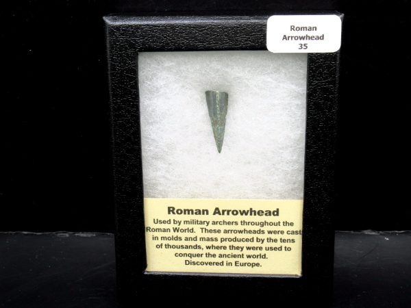 Genuine Roman Arrowhead In Riker For Sale #35