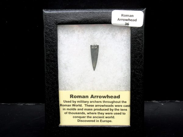 Genuine Roman Arrowhead In Riker For Sale #36