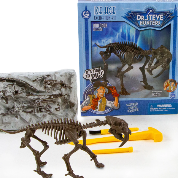 Smilodon Excavation Kit For Sale #4