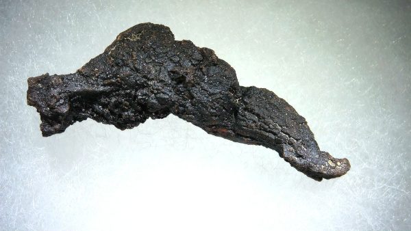 Turtle Coprolite (Poop) Madagascar #12 - Image 2