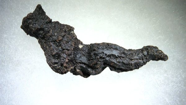 Turtle Coprolite (Poop) Madagascar #12 - Image 3