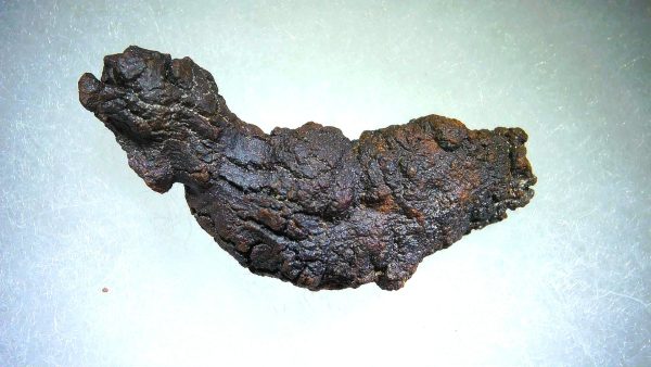 Turtle Coprolite (Poop) Madagascar #18 - Image 3