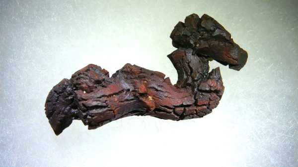 Turtle Coprolite (Poop) Madagascar #22 - Image 3