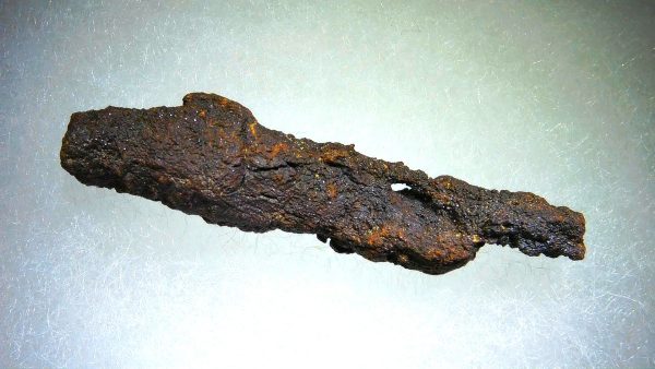 Turtle Coprolite (Poop) Madagascar #3 - Image 3