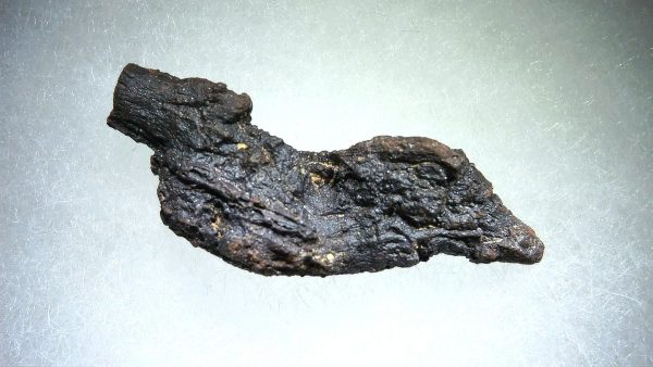 Turtle Coprolite (Poop) Madagascar #4 - Image 3