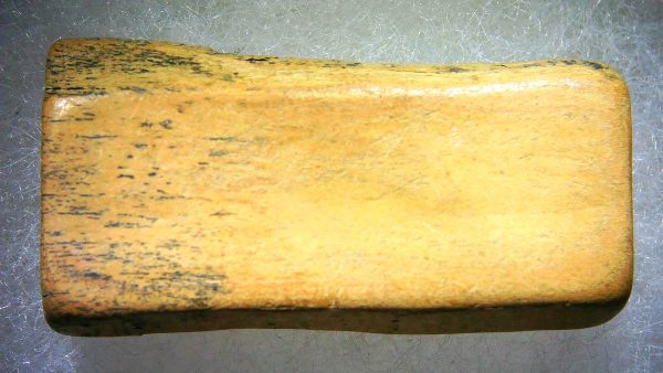 Woolly Mammoth Tusk Section (Small) #13 - Image 2