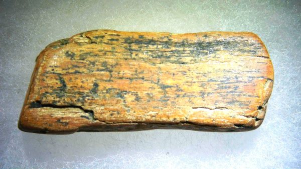 Genuine Pleistocene Age Woolly Mammoth Sm. Tusk Section in Riker for Sale from Alaska #20