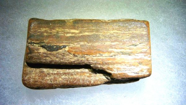 Genuine Pleistocene Age Woolly Mammoth Sm. Tusk Section in Riker for Sale from Alaska #23