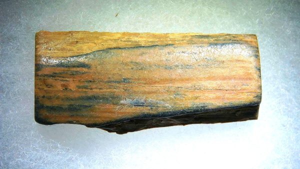 Genuine Pleistocene Age Woolly Mammoth Sm. Tusk Section in Riker for Sale from Alaska #32