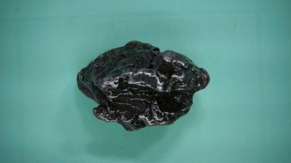 Campo Del Cielo Meteorite #26