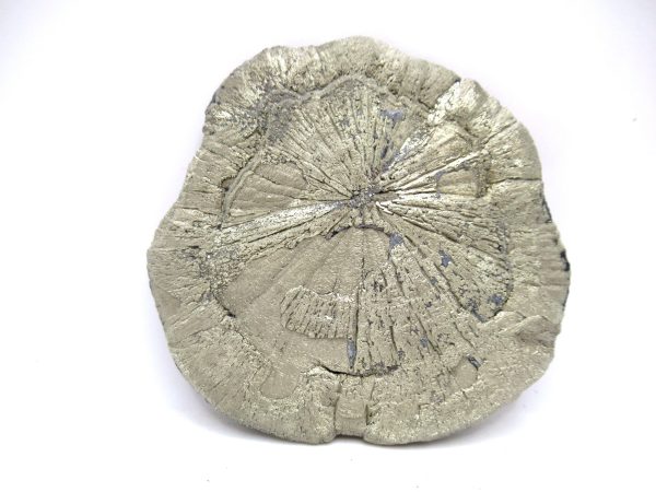 Pyrite Suns (Pyrite Dollars) #10