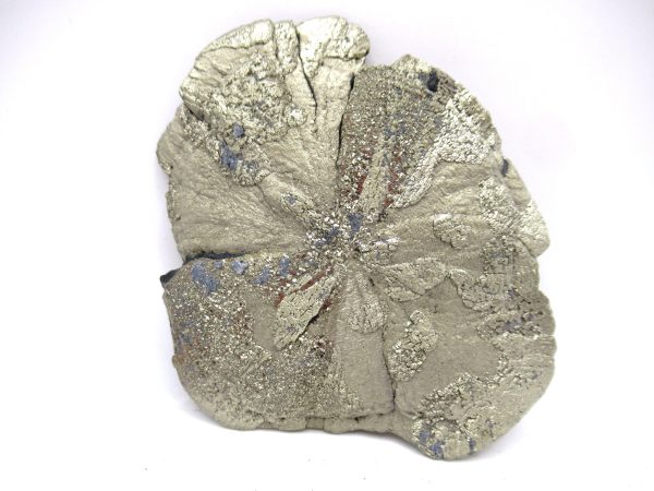 Pyrite Suns (Pyrite Dollars) #11 - Image 2