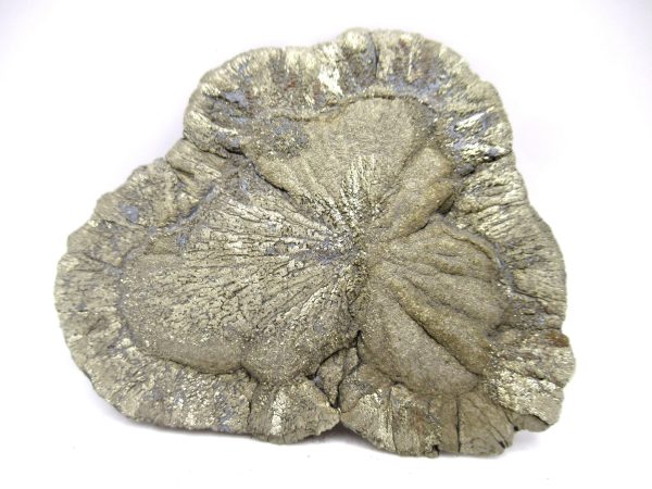 Pyrite Suns (Pyrite Dollars) #12