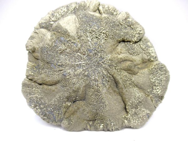 Pyrite Suns (Pyrite Dollars) #8