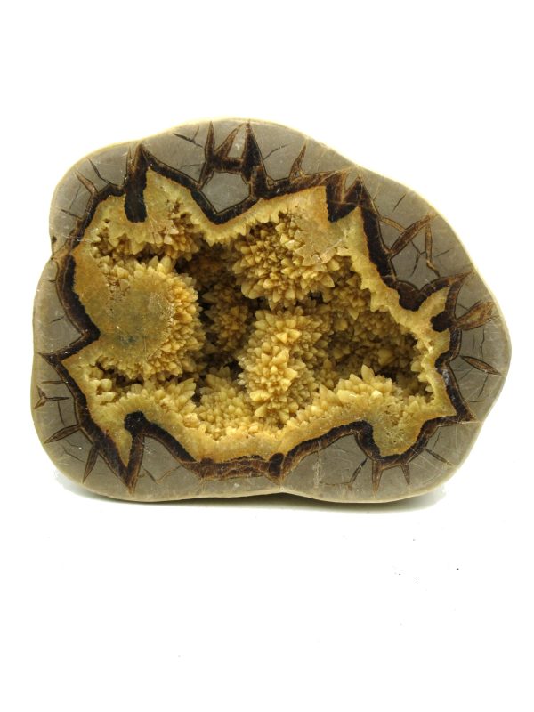 Septarian Nodule Half Cretaceous Age from Utah #1 - Image 5