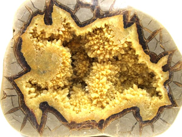 Septarian Nodule Half Cretaceous Age from Utah #1 - Image 2