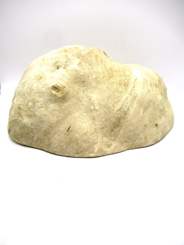 Septarian Nodule Half Cretaceous Age from Utah #1 - Image 3
