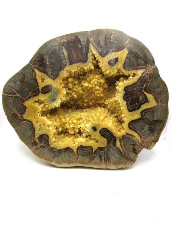 Septarian Nodule Half Cretaceous Age from Utah #3 - Image 2