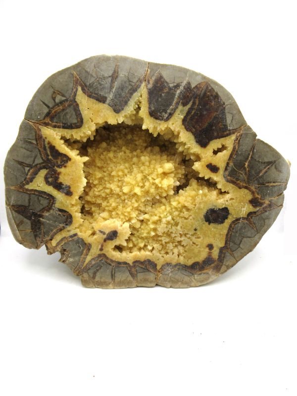 Septarian Nodule Half Cretaceous Age from Utah #4 - Image 2