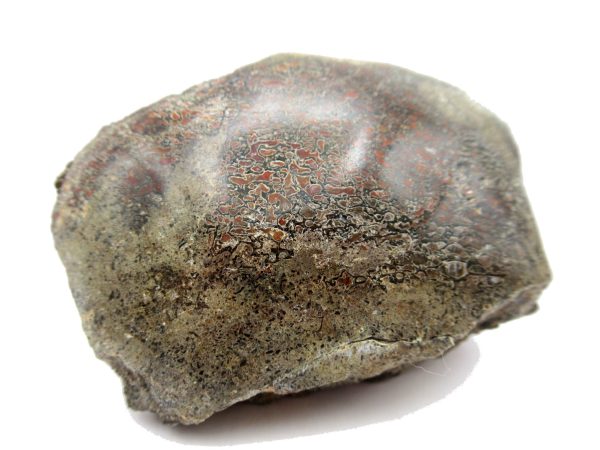 Jurassic Dinosaur Bone - Polished #111