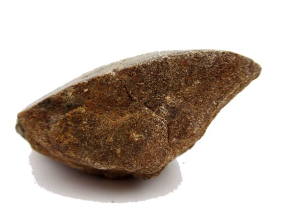 Jurassic Dinosaur Bone - Polished #116 - Image 3