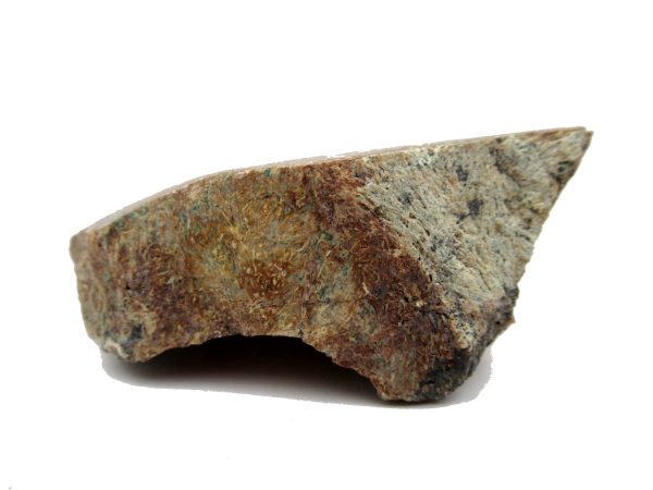 Jurassic Dinosaur Bone - Polished #117 - Image 3