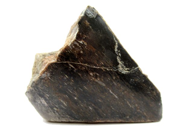 Jurassic Dinosaur Bone - Polished #121