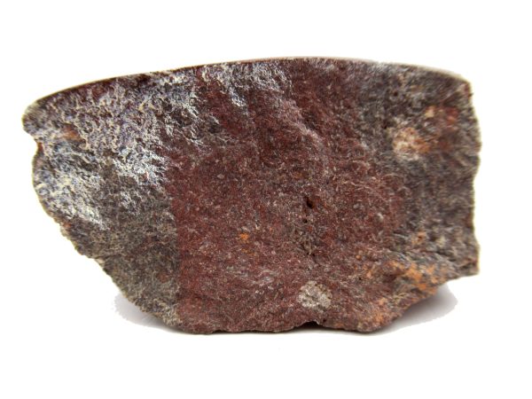 Jurassic Dinosaur Bone - Polished #123 - Image 3