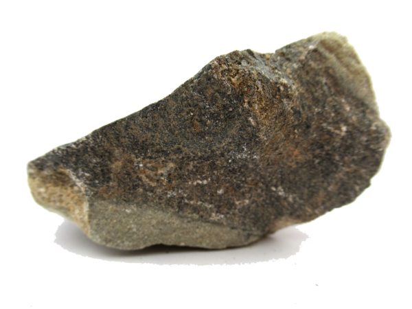 Jurassic Dinosaur Bone - Polished #128 - Image 3