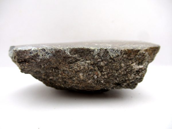 Jurassic Dinosaur Bone - Polished #131 - Image 3