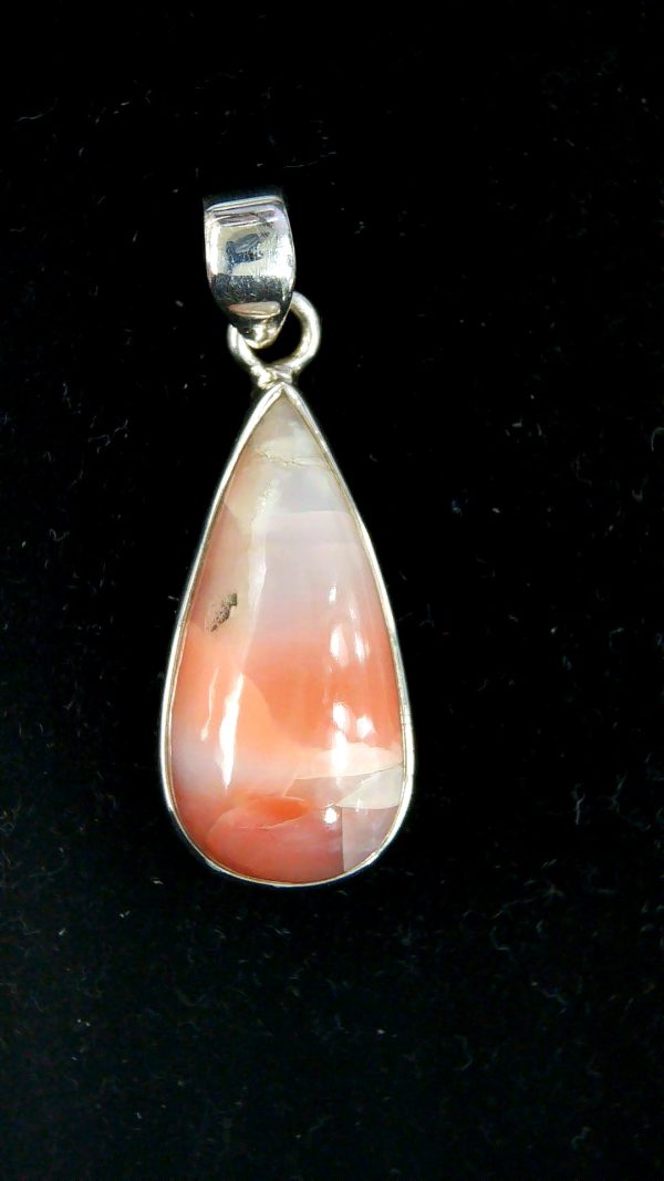 Arizona Petrified Wood Pendant For Sale #4