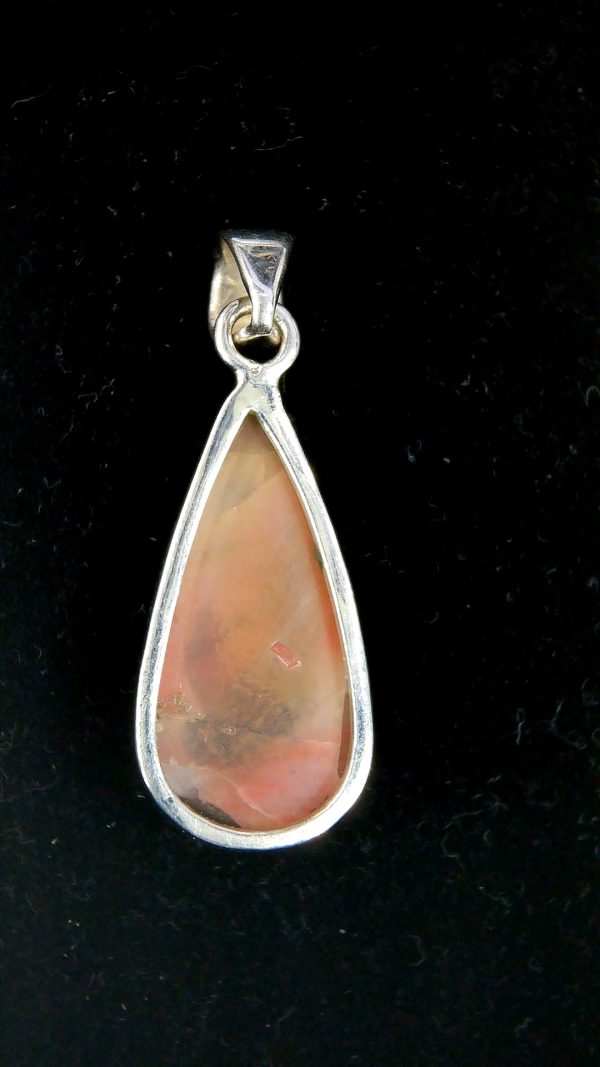 Arizona Petrified Wood Pendant For Sale #4a