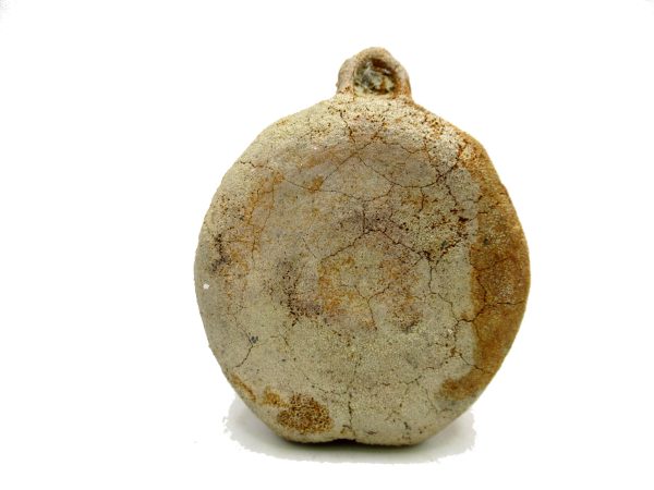 Genuine Miocene Extinct Whale Vertebrae For Sale From California #1