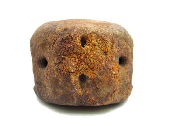 Genuine Miocene Extinct Whale Vertebrae For Sale From California #3e