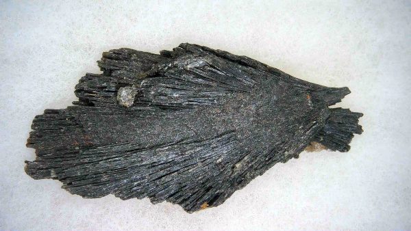 Genuine Black Kyanite Natural Mineral Specimen for Sale from India #3a