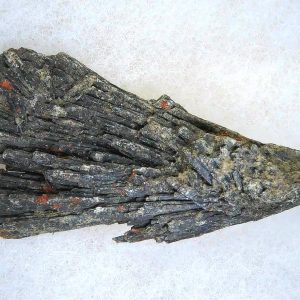 Genuine Black Kyanite Natural Mineral Specimen for Sale from India #5